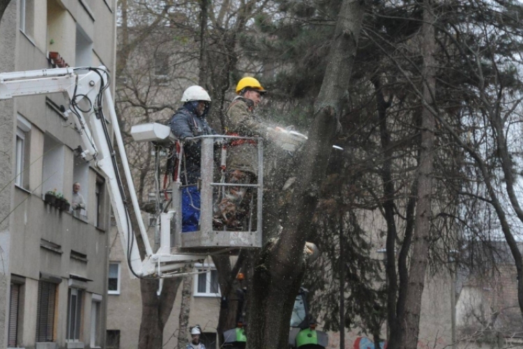 Fanyesési munkálatok kezdődnek