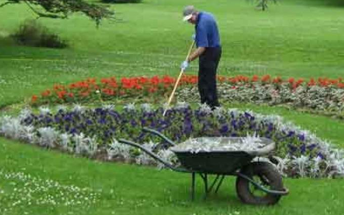 Álláshirdetés parkgondozó munkakörre