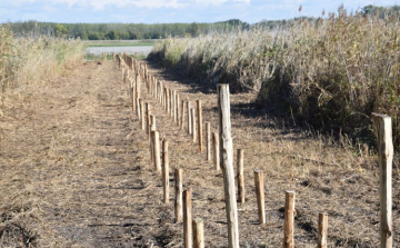 Rég nem látott arcát mutatja a Péteri tó