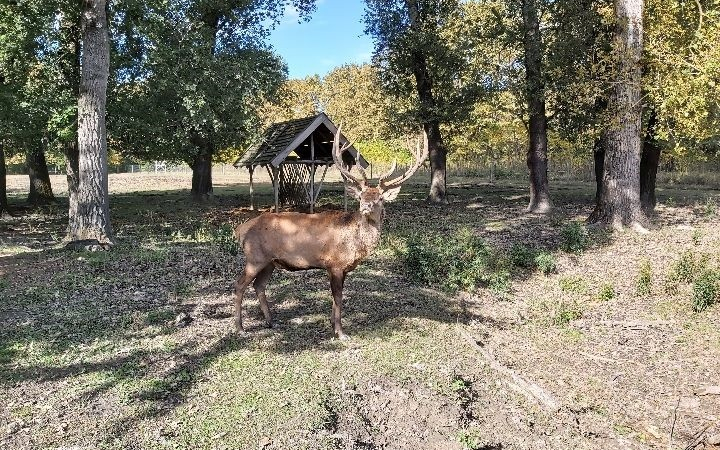 Gemenc minden évszakban izgalmas