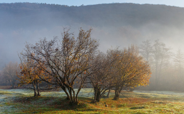 Száraz és napos - éppen ilyen késő őszre vágytunk