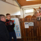 Tömegeket vonzott a Mezgé piknikje a tangazdaságba