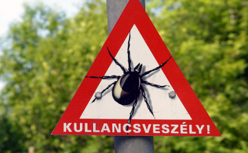 Legyen óvatos, újra itt a kullancsveszély