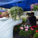 A barátságtalan idő ellenére is sokan ellátogattak a virágünnepre