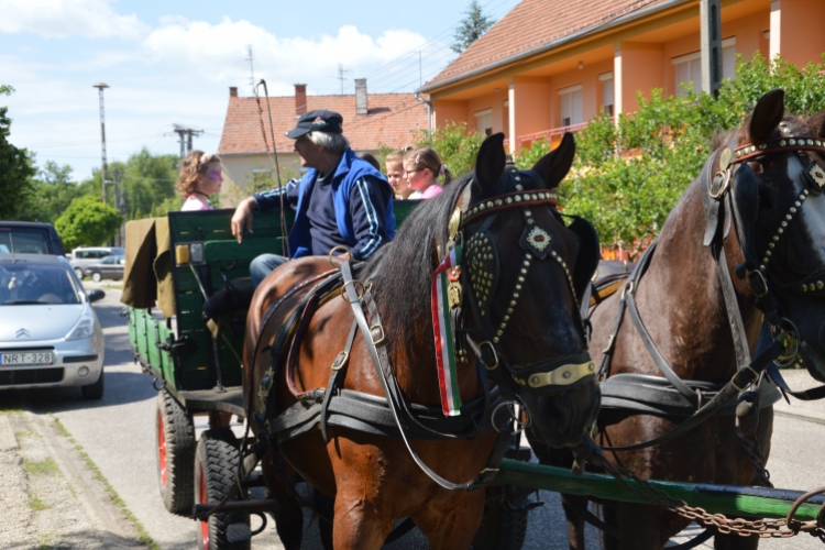 Pezsgett az élet a Platán iskola udvarán