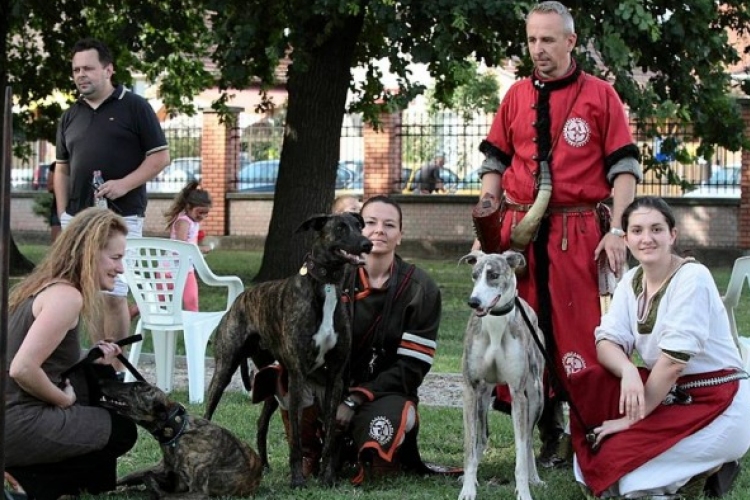 Elődeink ősi vadásztársa: a magyar agár – bemutató a Kurultajon