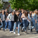 A Zöld nap évről-évre a legnagyobb buli
