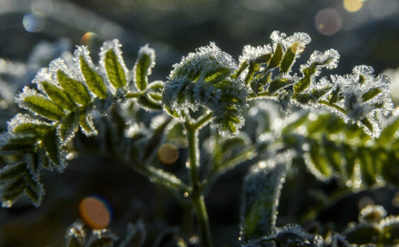 Ideje elzárni a kerti csapot – jönnek az éjszakai fagyok
