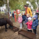 Kisállat ökoparkot adtak át Petőfiszálláson