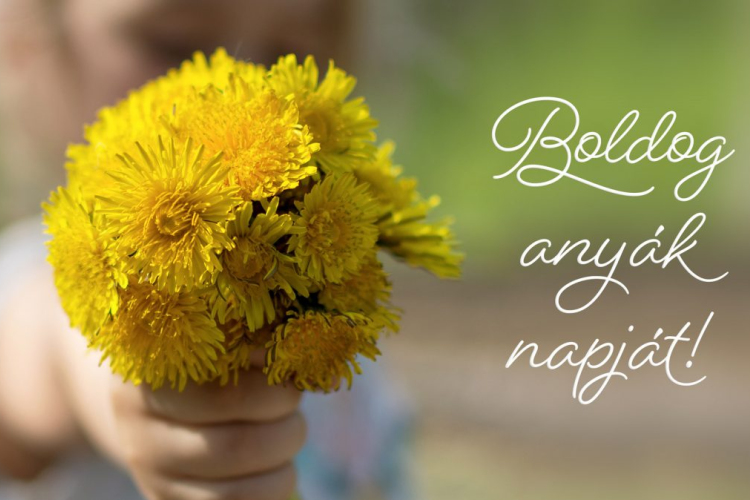 Isten éltessen minden Édesanyát és Nagymamát!