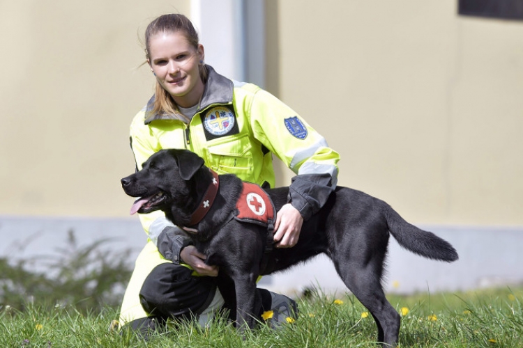 Magyar mentőkutya a világ legjobbjai között