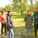 Erdőséta a madarak és fák napján