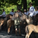 Felvonulással vette kezdetét a Kunfakó Ünnep