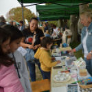 Idén is számos érdeklődőt vonzott a Mezgé piknik