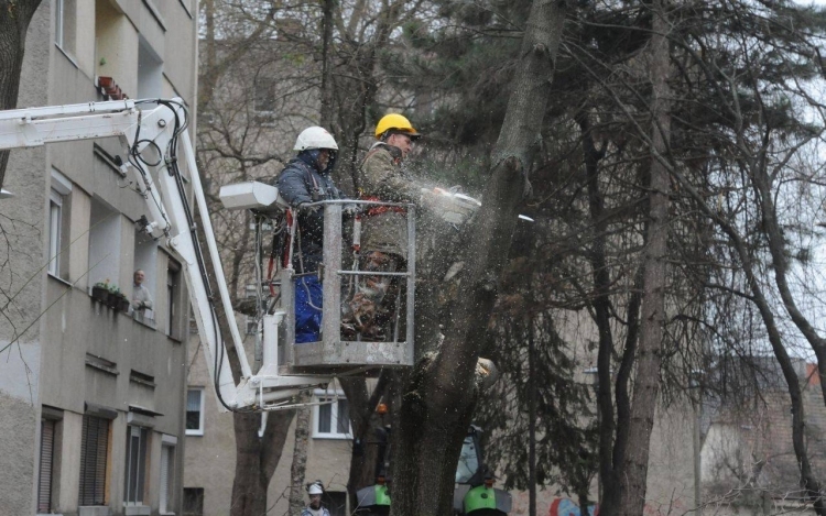 Fanyesési munkálatok kezdődnek