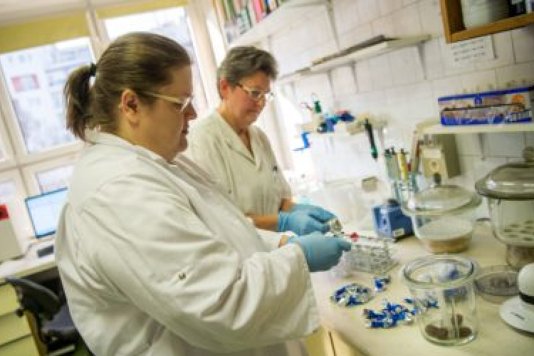 Első helyen végzett a Nébih az európai hatóságok rangsorában 