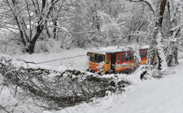 Megérkezett a sarkvidéki hideg, aki teheti, maradjon otthon!