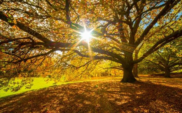 Ára van az egy napra visszatérő nyárnak