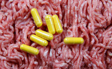 Súlyos gond az élelmiszeriparban az antibiotikumok használata miatt
