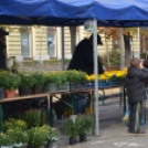 Őszi Virágvásár a művelődési központ szervezésében