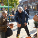 Őszi virágvásárt tartottak a városközpontban