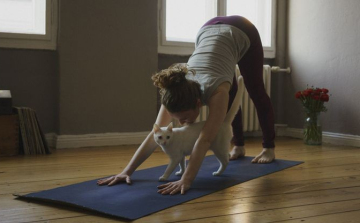 Csökkenti a magas vérnyomást az izmok nyújtása