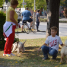 Soha nem találsz náluk különb barátot...