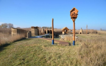 Megyei érték lett a csólyospálosi Földtani Feltárás