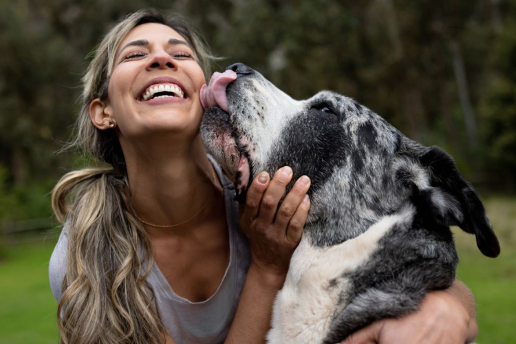 Tíz dolog, amivel a kutyád jelzi: szeret téged