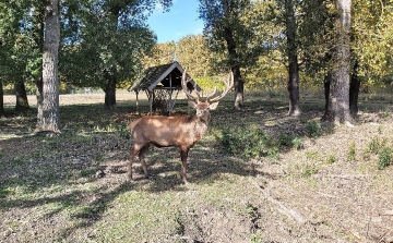 Gemenc minden évszakban izgalmas