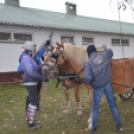 Szigorú szabályozással ugyan, de zajlik a gyakorlati képzés a Mezgében