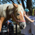 Szakmakóstoló tábort rendezett a Mezgé