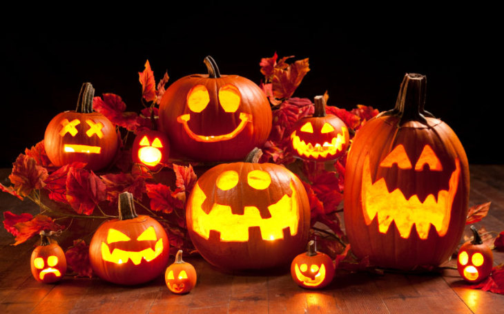 A halloweeni és a sütőtök közti különbségre hívja fel a figyelmet a NAK