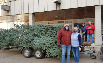 A szeretet gyertyája és a karácsony ünnepe