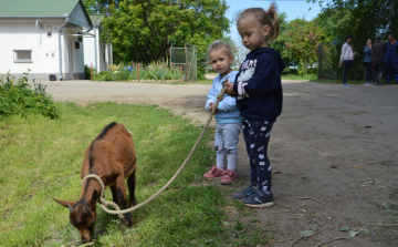 Gyermeknapot tartottak a Tangazdaságban