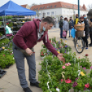 Tavaszi Virágvásárt rendeztek Kiskunfélegyházán