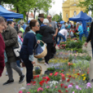 Káprázatos virágözön ékesítette Kiskunfélegyháza főterét