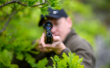 Puskát fogott az orvvadász az erdészre Jánoshalmán