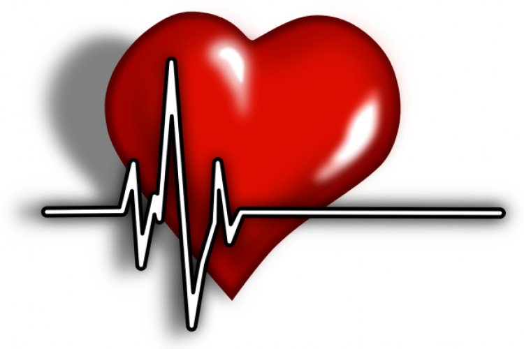 Újraindult az Invazív Kardiológiai Szakrendelés a kecskeméti kórházban