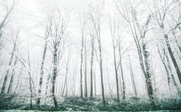 A hét elején még borult, párás, ködös idő várható, majd feltámad a szél, és melegedés kezdődik